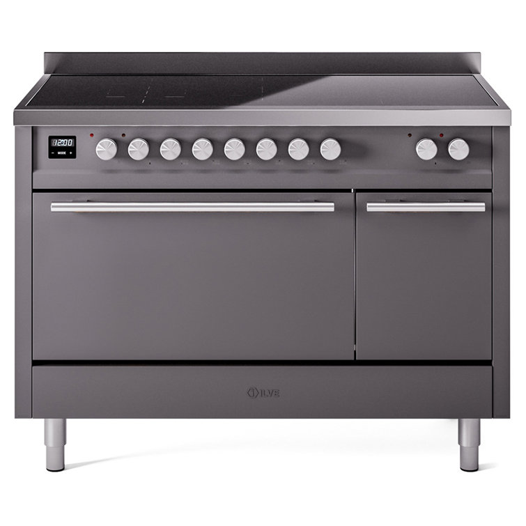 ILVE Professional Plus II 48 in Induction Range