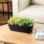 Indoor Ceramic Flower Pot Planter-2131947553