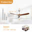 Ventilateur de plafond 60 po Uma-1335737926