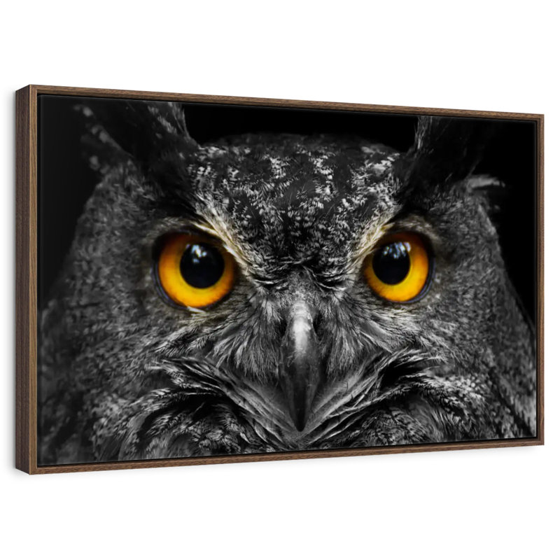 Hibou jaune, 37 po x 25 po, Cadre flottant en noyer