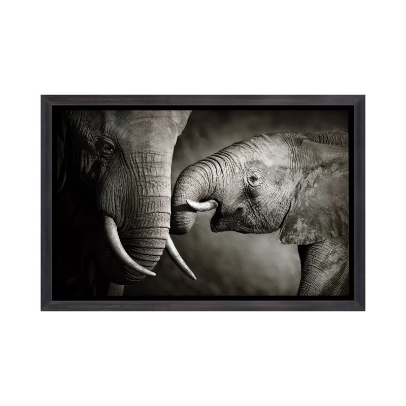 " Elephant Affection " by Johan Swanepoel, 26" H x 40" W x 1.5" D, Distressed Black Framed Canvas