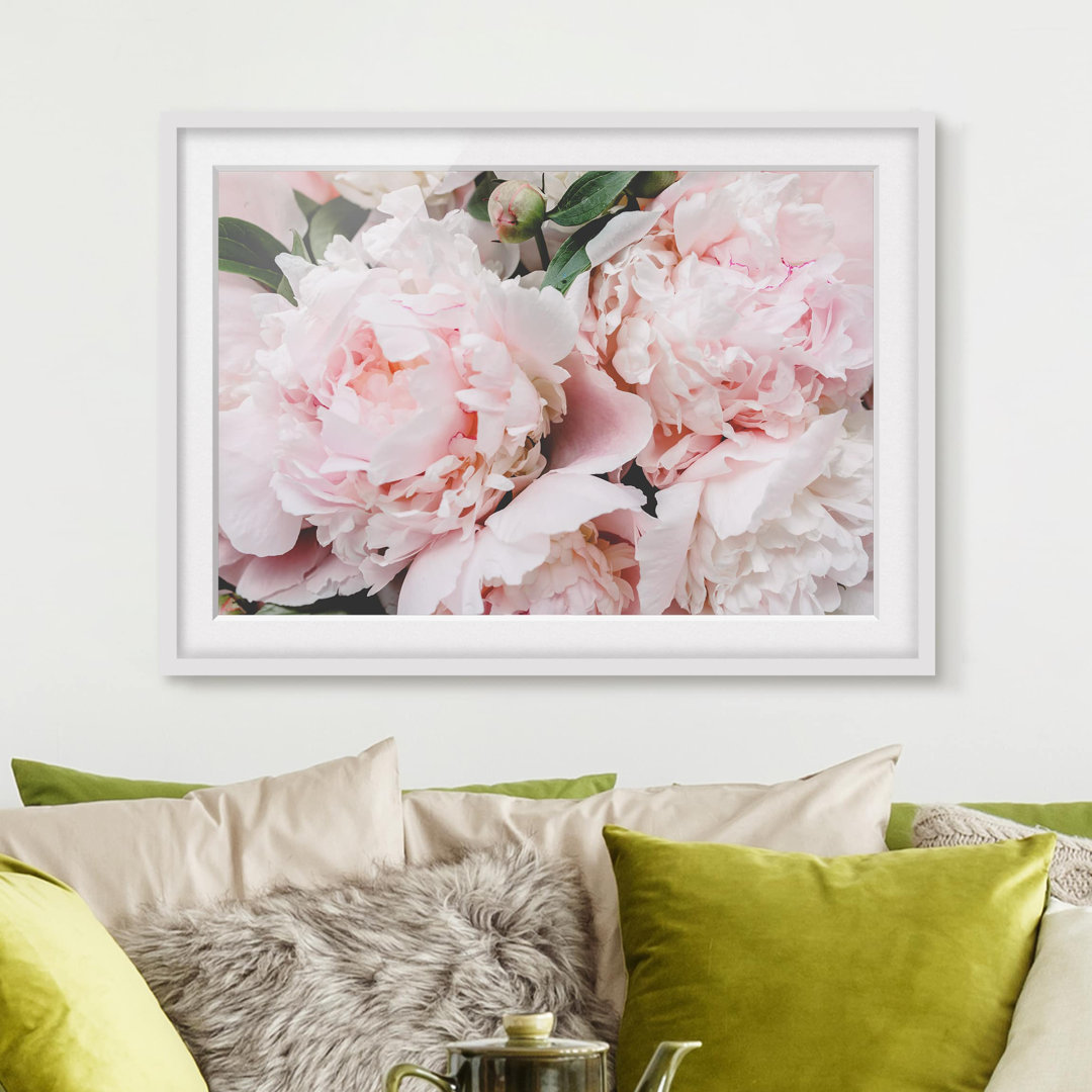 Gerahmtes Poster Peonies Light Pink