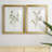 Single Sprig I - Matted and Framed Under Acrylic Glass, Set of 2, Large Living Room Wall Art-1659764528-1659764530