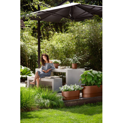 Planter Box