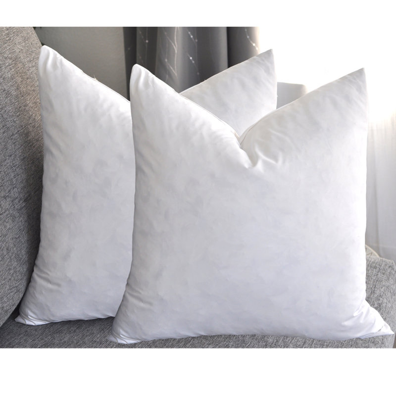 Solid Reversible Pillow Insert, 16"H x 16"W, Feathers