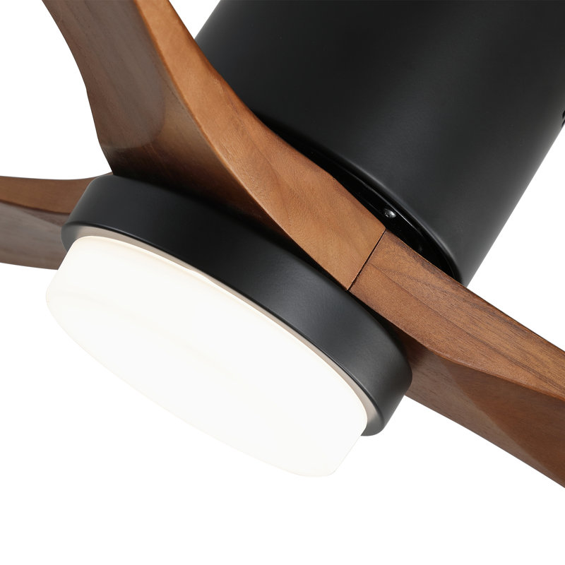 Ceiling Fan with LED Lights
