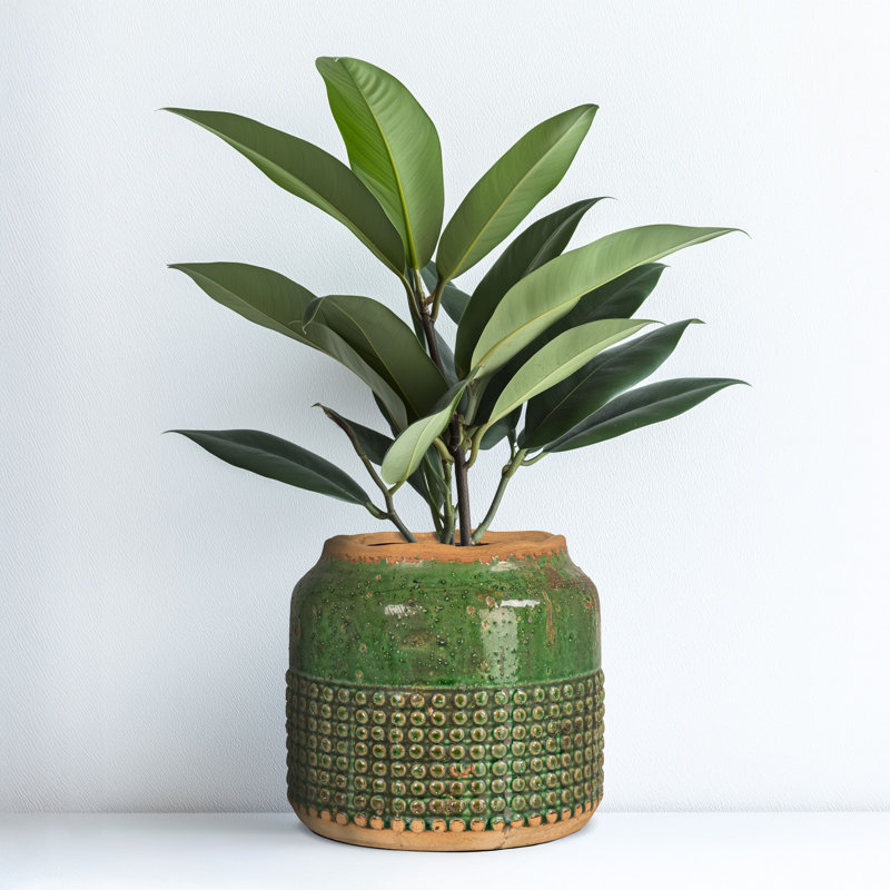 Basya Pot Planter, Green