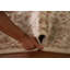 Tapis unique en laine ivoire 4 pi 2 po x 6 pi 2 po One Age of a Kind Ziegler