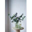 S / 2 vases décoratifs en verre vert avec motifs de visage