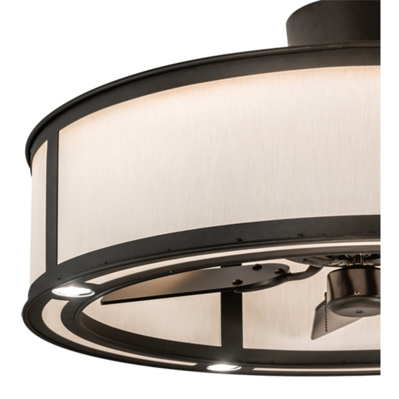Dannae 30'' Ceiling Fan with LED Lights