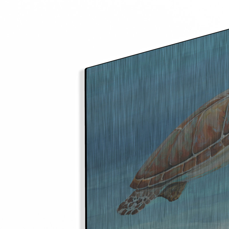 «Ocean Sea Turtle I» par Tim O'Toole, art mural en métal, H 16 po x l 24 po