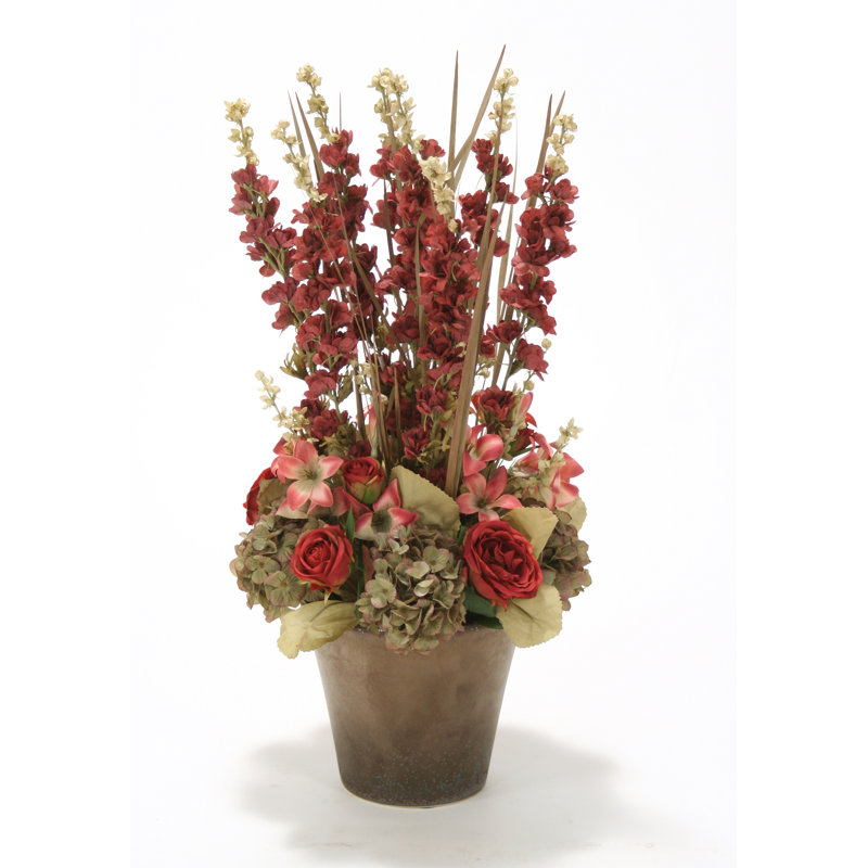 Orchids Arrangement in Pot