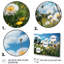 Mountain Dandelion Field I - impressions sur toile florales-283379188-283379189