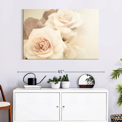 Harnek, roses rétro douces
