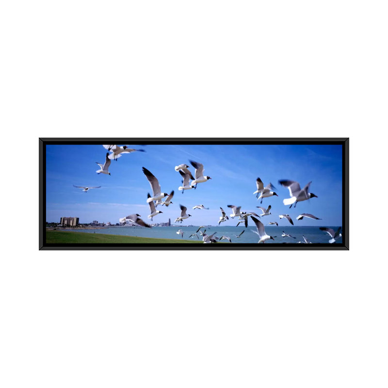 « troupeau of seagulls flying on the beach, new york state », reproduction de photo sur toile, H 12 po x l 36 po x P 1,5 po