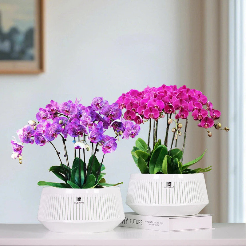 Pot d'orchidée meshpot avec trous ventilés 360 °, PP
