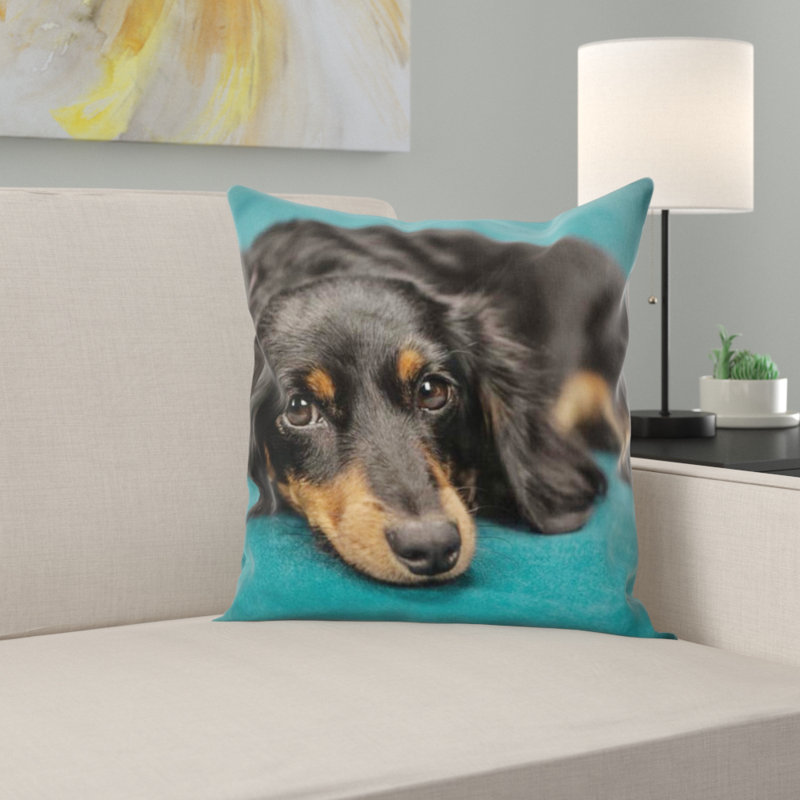 Coussin pour chien