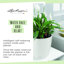 Classico Pot Planter-16493096-16493101