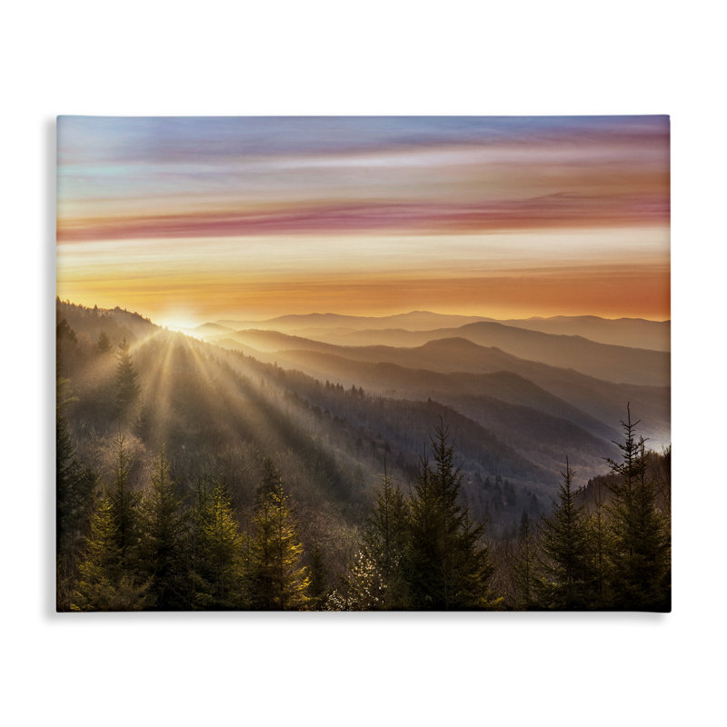 Sunrise Through Mountain Forest Skyline Canvas Wall Art by Danita Delimont, 30" H x 40" W
