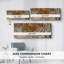 Abstract Series 2 #XXIII-Wide Gallery Wrapped Canvas-1846612446
