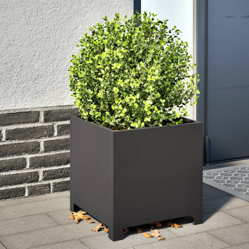 Ashvini Planter Box, Black, 15.75" H x 15.75" W x 15.75" D