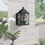 Ripley Outdoor Wall Lantern-19994848-89012559