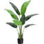 Plant-740876610