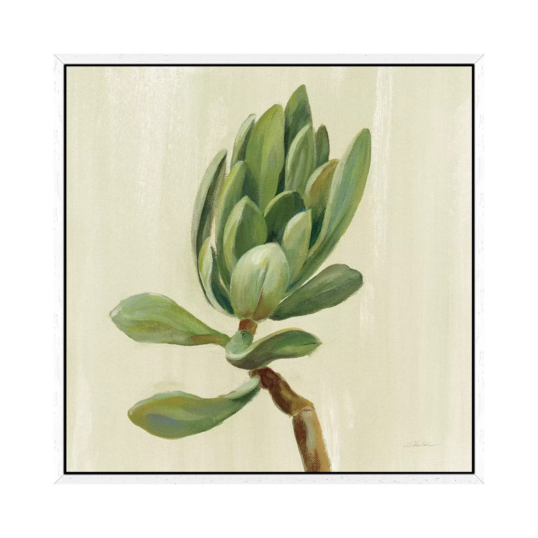 Front Yard Succulent III von Silvia Vassileva - Galerie-verpackte Leinwand Giclée auf Leinwand