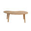 Rune Wooden Coffee Table-1490705564