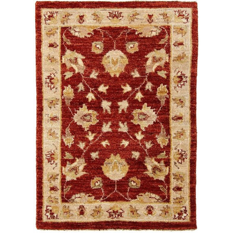 Oriental Cotton Hand Woven 62cm X 95cm Area Rug