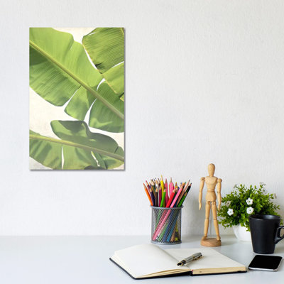 Green Banana by Lupen Grainne - Wrapped Canvas Painting