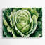 Art mural en métal légumes vert laitue Iceberg