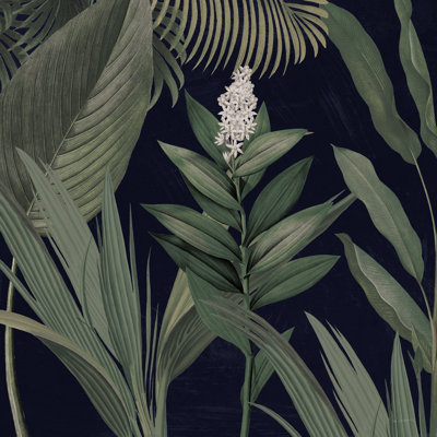 Lumière dramatique tropicale I
