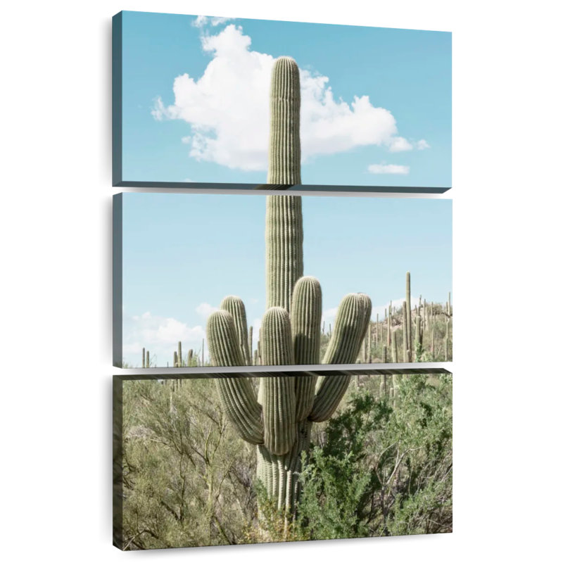 Cactus vert Harnek, H 74 po x l 48 po