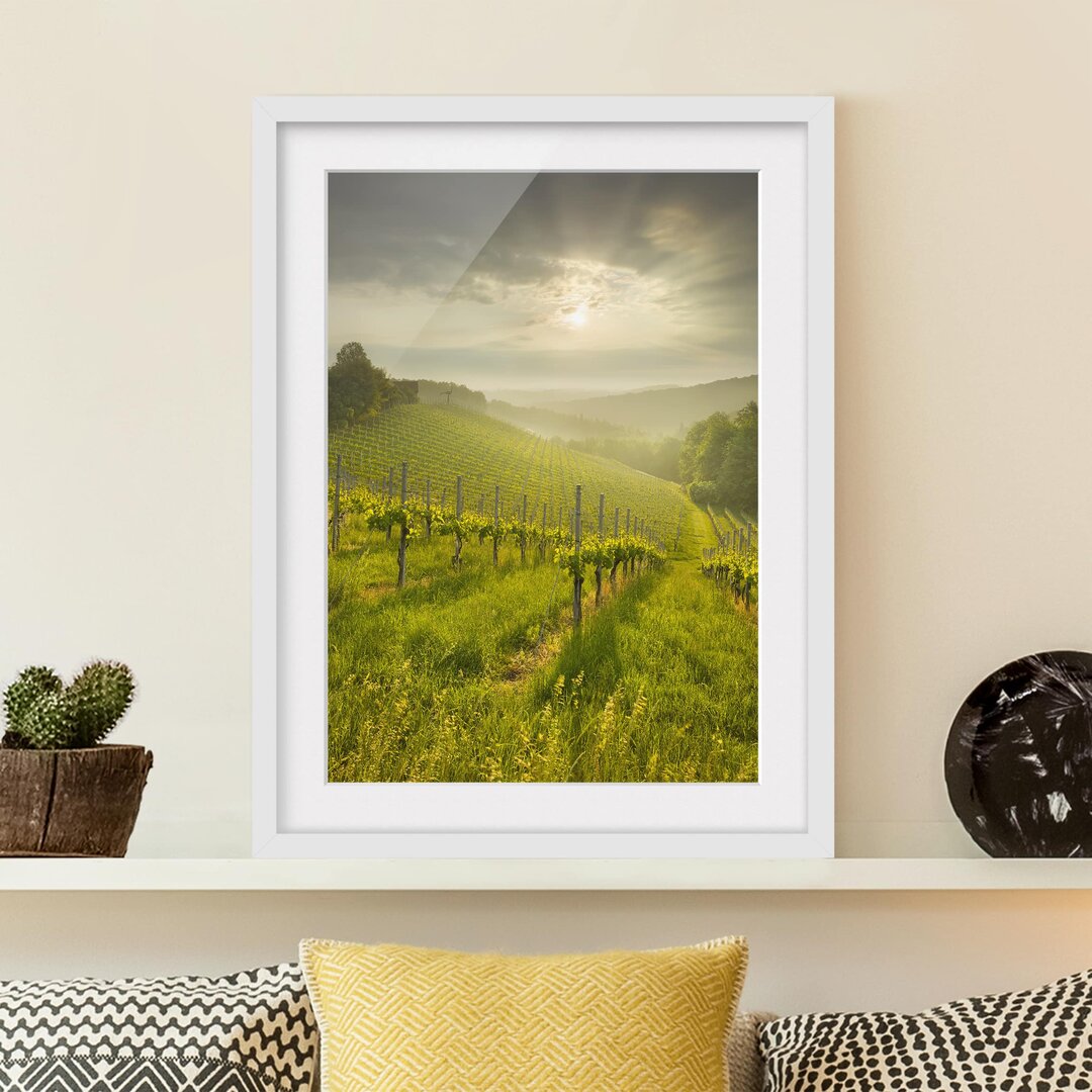 Gerahmtes Poster Vineyard Sunbeams