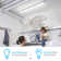 50 Watt Equivalent T8 G13/Bi-pin LED Bulb