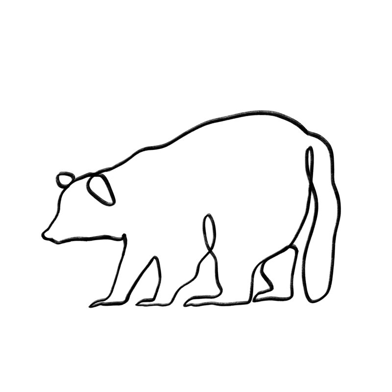 Critter Shape IV by Victoria Barnes - Wrapped Canvas Print, 30cm H x 30cm W x 3.8cm D