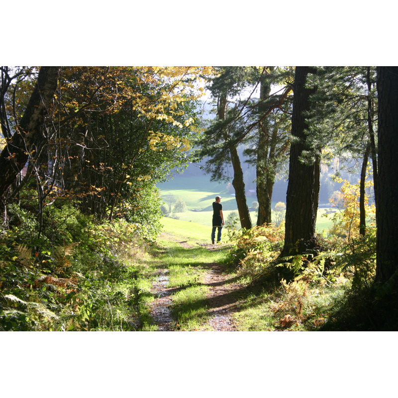 Woods by Itakefotos4u - Wrapped Canvas Print, 30cm H x 46cm W