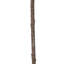 Vickerman 29" Artificial White Magnolia Flower Buds Spray 2/Bag.