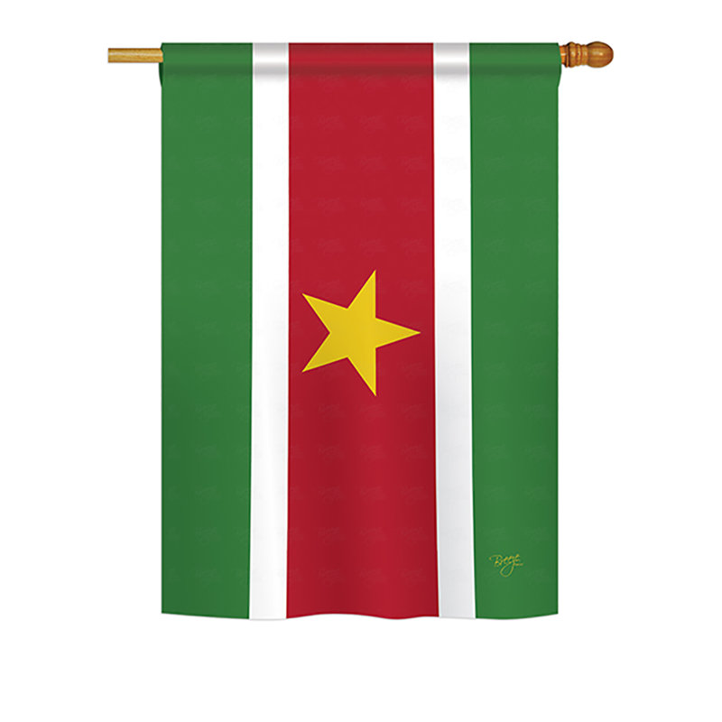 Double Sided Polyester House Flag, 18.5" H x 13" W