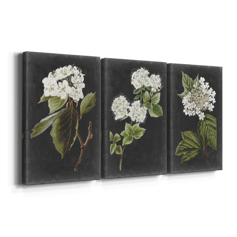 Dramatic White Flowers I - Toile tendue avec châssis sur mesure - 3 pièces, H 12 po x l 24 po