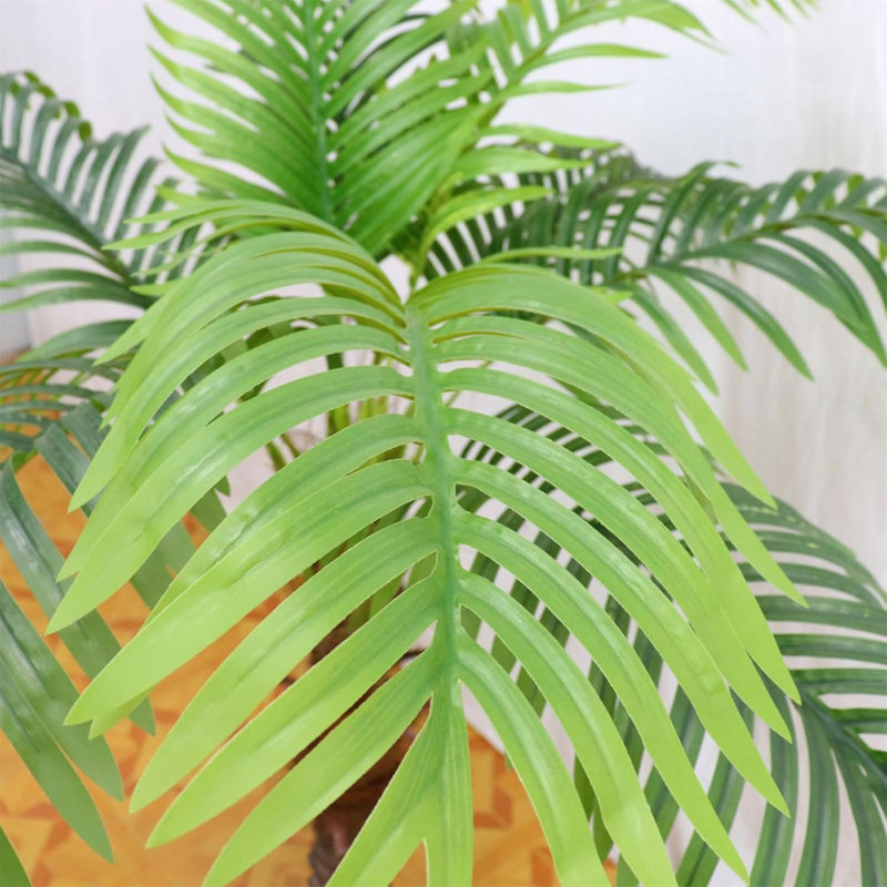7.87cm Plant