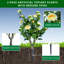 89.9cm Plant-1183563103