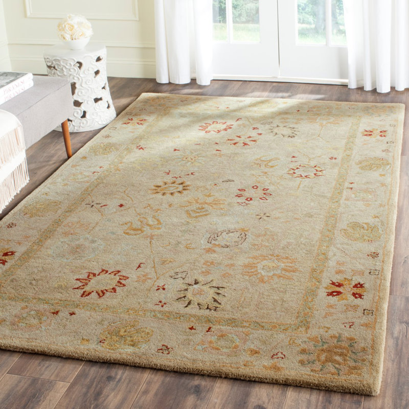 Tapis oriental taupe en laine touffeté à la main Armintha, Rectangle 5 pi x 8 pi