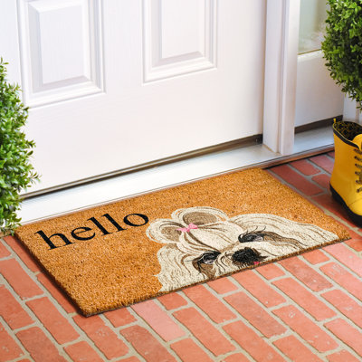 Tapis de porte antidérapant