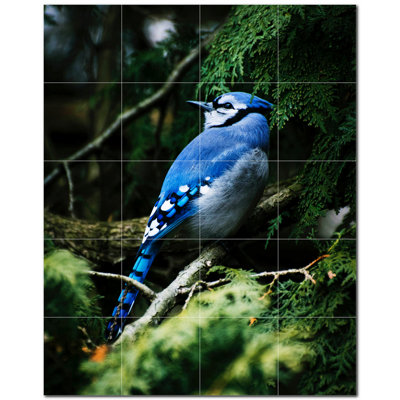 Photo d'oiseau 4,25 po x 4,25 po
