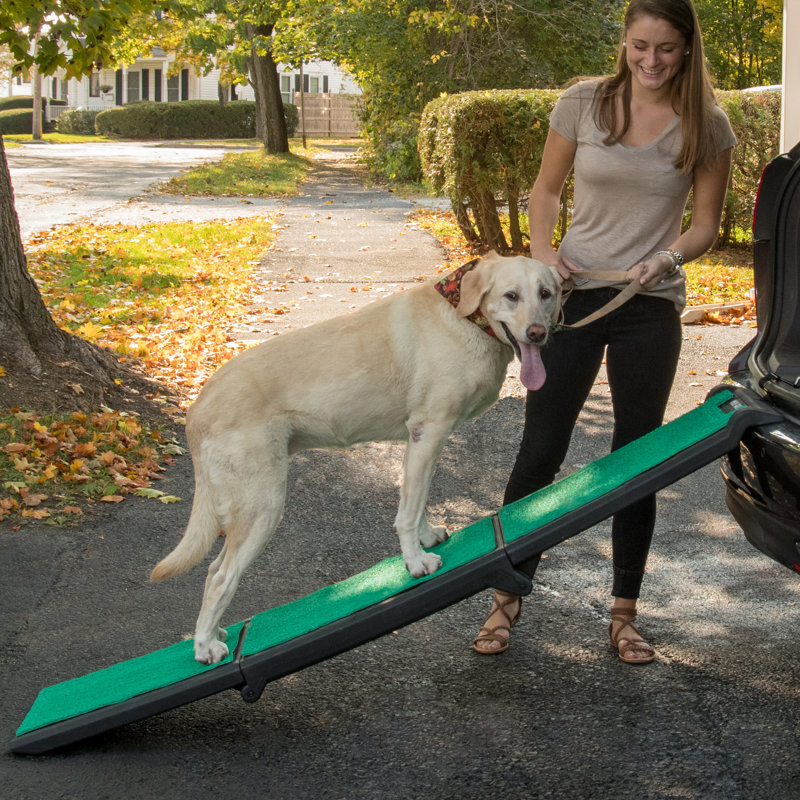 Rampe pour animal de compagnie Tri-Fold Travel Lite 26,5 po avec tapis SupertraX