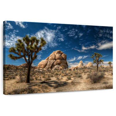 Alvord Joshua Tree Lone Rock Formation