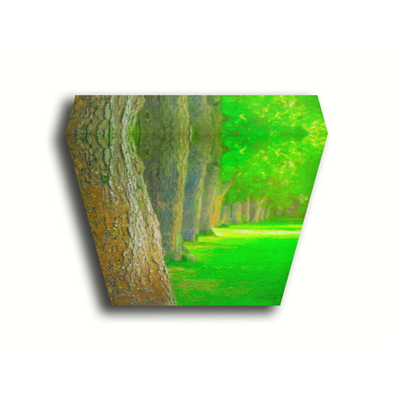 Dans le parc le long du chemin - couleur par Hal Halli. Estampe numérique, H 30 po x l 40 po, Toile tendue, Ne s’applique pas