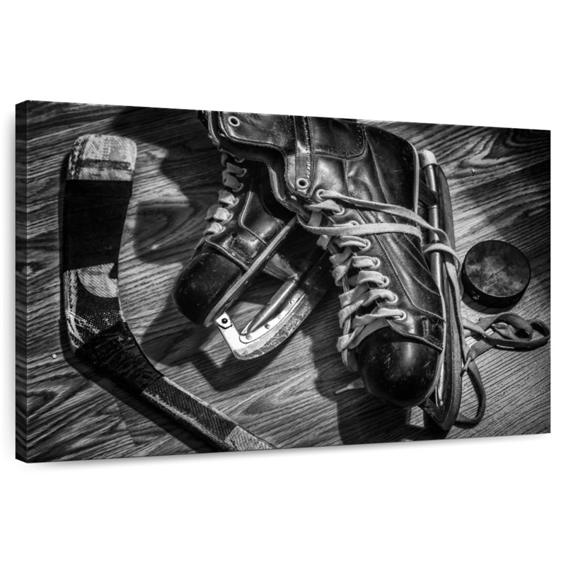 Vieux hockey Sireci, H 8 po x l 12 po